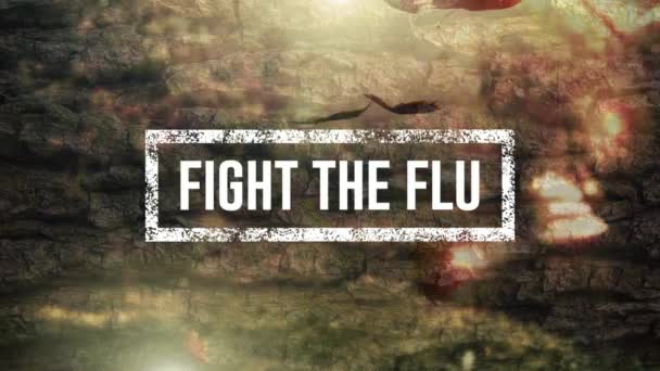 Composite Numérique Vidéo Fight Flue Texte Feuilles Automne — Video