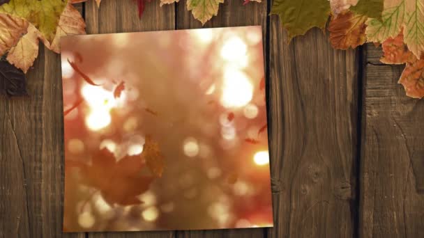 Digital Generated Video Screen Showing Forest Falling Autumn Leaves Bright — Stock Video