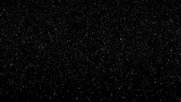 Snow Falling Black Background — Stock Video