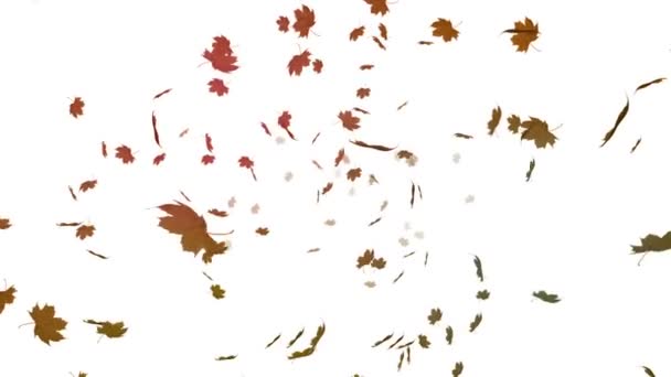 Digitally Generated Falling Autumn Leaves Black Background — Stock Video