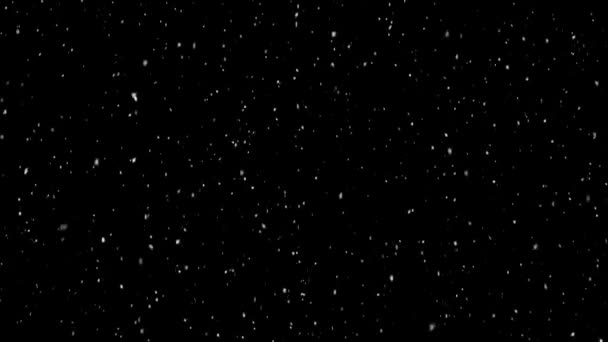 黑色背景上的雪 — 图库视频影像