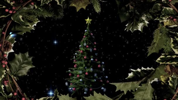 Digitaler Verbund Aus Weihnachtsbaum Und Stechpalme Mit Sternen — Stockvideo