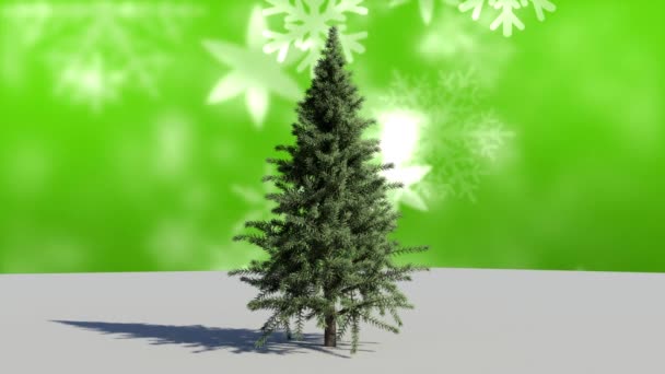 Digitale Composiet Van Kerstboom Sneeuwvlokken Vallen — Stockvideo