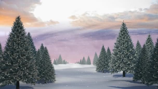 Digital Composite Winter Scenery Fir Trees Falling Snow — Stock Video