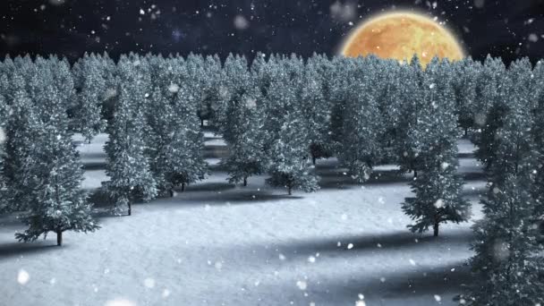 Digitales Zusammenspiel Der Winterlandschaft Mit Vollmond Und Fallendem Schnee — Stockvideo