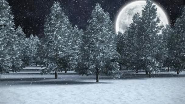 Digital Composite Winter Scenery Full Moon Falling Snow — Stock Video