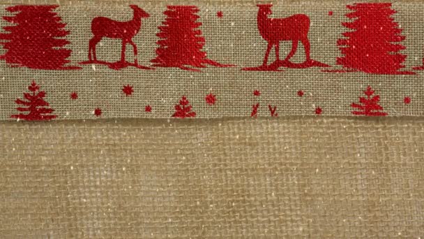 圣诞纺织品驯鹿降雪的数字合成 — 图库视频影像