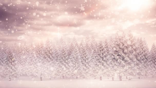 Composite Numérique Paysages Hivernaux Avec Sapins Neige Tombante — Video