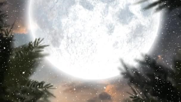 Composito Digitale Del Paesaggio Invernale Con Luna Piena Neve Che — Video Stock