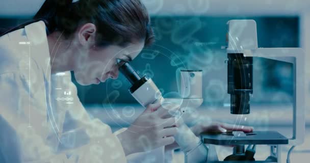 Compuesto Digital Ciencia Composición Mujer Mirando Microscopio Combinado Con Microorganismos — Vídeo de stock