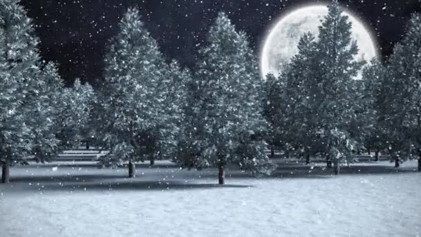 Digital Composite Winter Scenery Full Moon Falling Snow — Stock Video