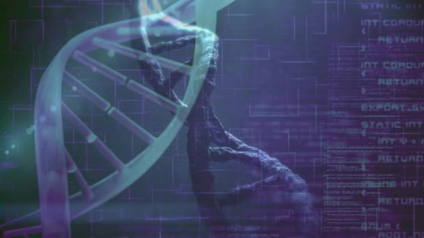 Composite numérique de Science Composition ADN animé combiné avec une photo de l'ADN 