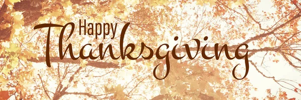 Illustratie Van Happy Thanksgiving Day Tekst Groet Tegen Lage Hoekmening — Stockfoto
