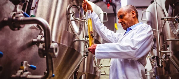 Visão Baixo Ângulo Fabricante Examinando Cerveja Cervejaria — Fotografia de Stock