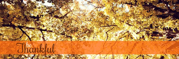 Иллюстрация Поздравления День Благодарения Ветвями Кленовых Листьев Осенью — стоковое фото