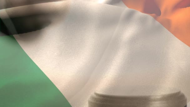 Digitální Animace Irskou Vlajku Kladívkem Soudci Kladívkem Bouchání Proti Vlajky — Stock video