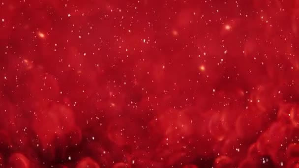 Animazione Digitale Sfondo Vibrante Rosso Nevicate Primo Piano Durante Inverno — Video Stock