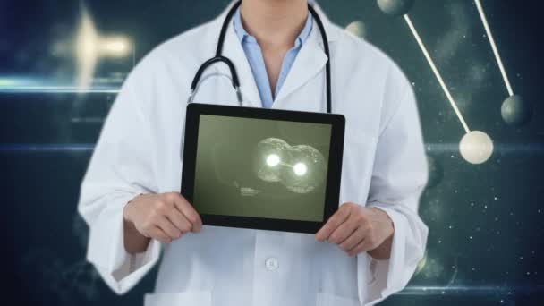 在数字平板电脑屏幕上倍增的细胞数字动画 医生持有数字平板电脑的分子背景 — 图库视频影像
