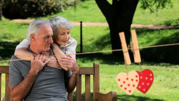 Couple Âge Mûr Étreignant Dans Parc Avec Des Cœurs Sur — Video