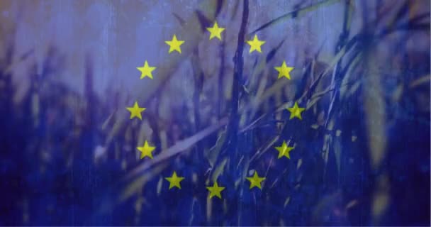 Compuesto Digital Bandera Europea Escena Pacífica Campo Maíz Susurrando Viento — Vídeo de stock