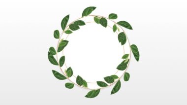 Daire fotoğraf çerçevesi için kopya alanı beyaz arka plan dekoratif bitkiler ile