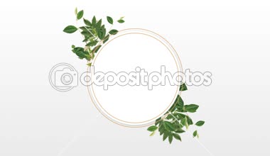 Daire fotoğraf çerçevesi için kopya alanı beyaz arka plan dekoratif bitkiler ile