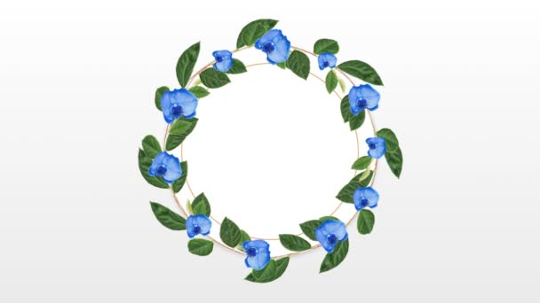 Circle Photo Frame Copy Space Decorative Blue Flower White Background — Stock Video