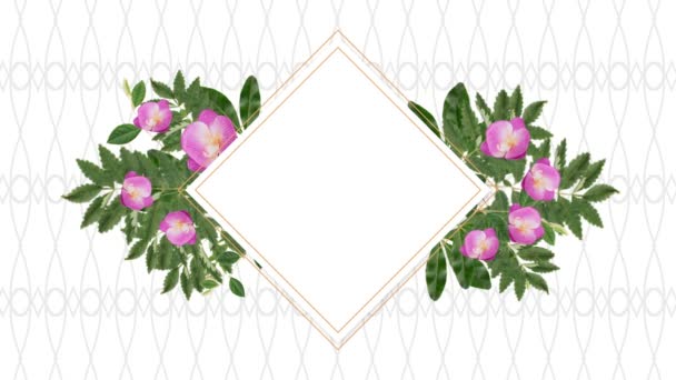 Square Photo Frame Copy Space Decorative Pink Flowers Pattern Background — Stock Video