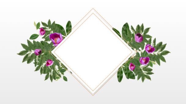 方形相框复制空间与装饰粉红色的花在白色背景 — 图库视频影像