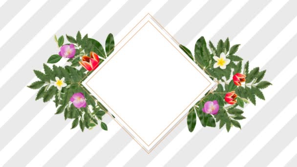 Moldura Foto Quadrada Para Espaço Cópia Com Flores Decorativas Roxas — Vídeo de Stock