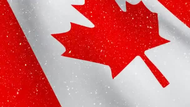 Compuesto Digital Bandera Canadiense Ondeando Con Nieve Animada Cayendo — Vídeo de stock