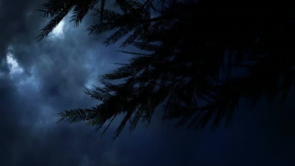 Чёрные Анимированные Листья Фоне Грозы Тёмных Облаков — стоковое видео