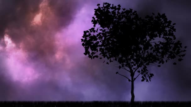 Black Animated Tree Animated Thunder Storm Dark Clouds Background — Stock Video