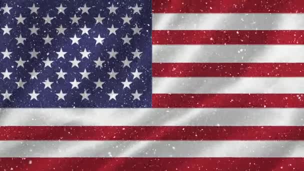 Geanimeerde Amerikaanse Vlag Tegen Geanimeerde Sneeuw Achtergrond — Stockvideo