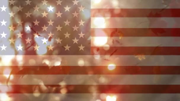 Animated Leaves Animated American Flag Background — Stock Video