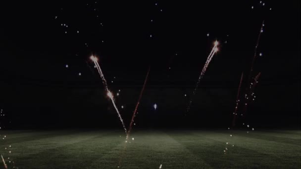 Fuochi Artificio Animati Notte Campo — Video Stock