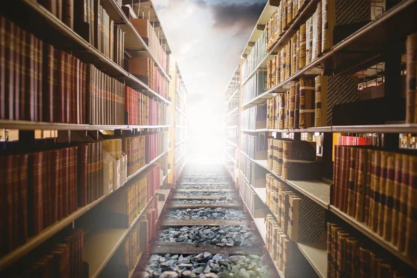 Close Bookshelf Railway Track Forest — Stock Photo, Image