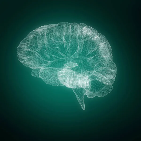 Иллюстрация Человеческого Мозга Зеленом Фоне Виньеткой — стоковое фото