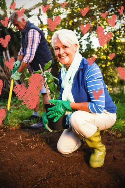 Rood Hart Tegen Portret Van Gelukkig Vrouwelijke Tuinman Met Ingemaakte — Stockfoto