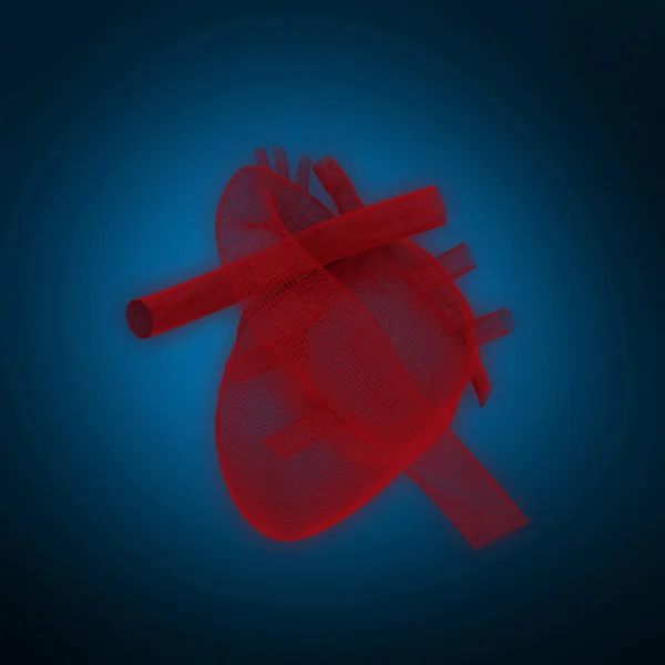 人类的心脏 与小插图蓝色背景的 — 图库照片