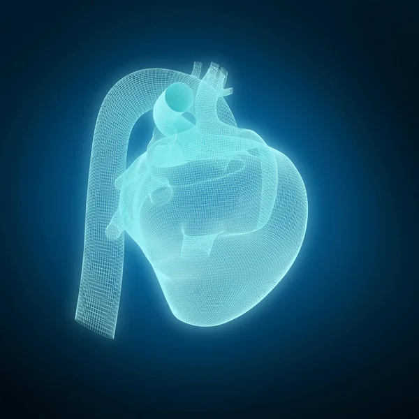Векторное Изображение Человеческого Сердца Голубом Фоне Виньеткой — стоковое фото