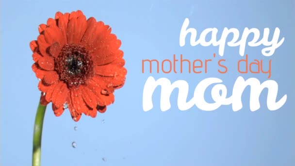 Mutlu Anneler Günü Metin Kırmızı Çiçek Dijital Bileşik — Stok video