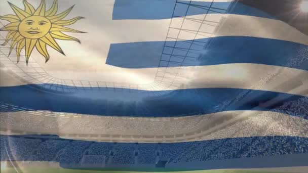 阿根廷国旗的正面看法漂浮在天空在体育场背景下 — 图库视频影像