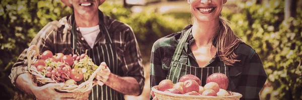 Retrato Feliz Pareja Campesina Sosteniendo Cestas Verduras Frutas Viñedo —  Fotos de Stock