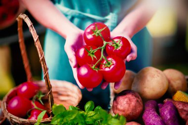 Orta bölümünü domates Palm'da tutan kadın