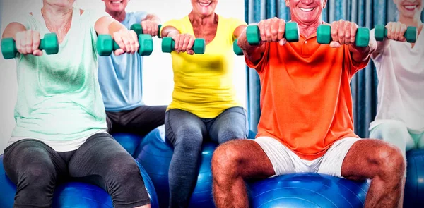 Retrato Idosos Usando Bola Exercício Pesos Durante Aula Esportes — Fotografia de Stock