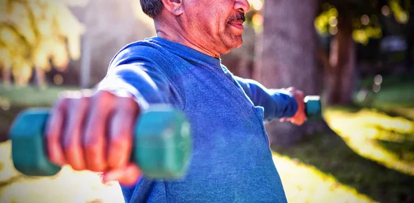 Maduro Homem Exercitando Com Haltere Dia Ensolarado Parque — Fotografia de Stock