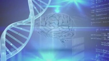 Beyin ve Dna sarmalının bilgisayara karşı taşıma dijital bileşik hareketli hızlı ekran boyunca kodları 