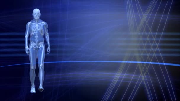 Digital Composite Walking Man Prototype Surrounded White Lights Blue Background — Stock Video