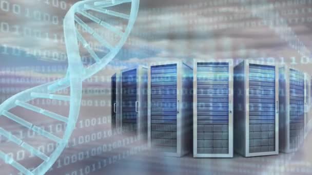 Digital Komposit Spinning Dna Med Dataserver Binära Koder Bakgrunden — Stockvideo